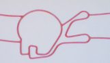 50 Durometer Nitrile – Manifold Gasket